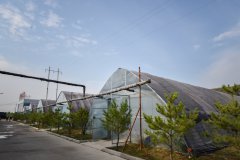 牛牛游戏网址_牛牛游戏网站_牛牛游戏官网_菌棒出口到韩国